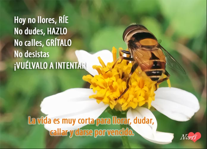 Frase de aliento y motivacion para un amigo