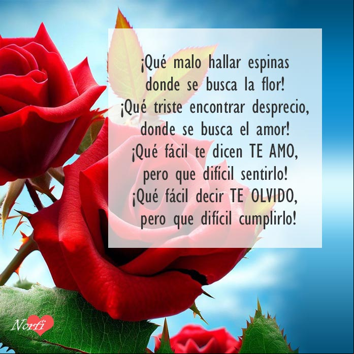 Rosas rojas con espinas 