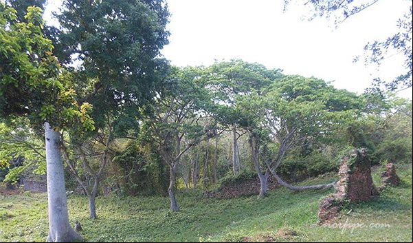 Ruinas y restos de las instalaciones del Cafetal Angerona