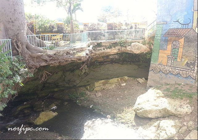 Entrada de la Cueva del sumidero del Rio Ariguanabo en San Antonio de los Baños
