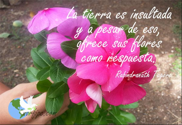 La tierra es insultada y a pesar de eso, ofrece sus flores como respuesta Pensamiento de Rabindranath Tagore sobre la Tierra