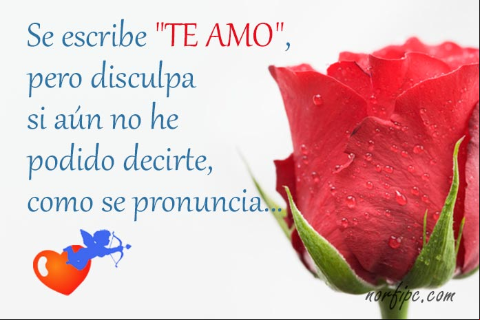 Imagen para enamorar: No puedo estar sin ti, porque te amo