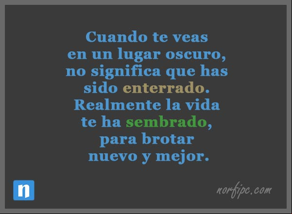 Cuando te veas en un lugar oscuro, no significa que has sido enterrado. Realmente la vida te ha sembrado, para brotar nuevo y mejor. #EnergiaPositiva La vida te ha sembrado, para brotar nuevo y mejor. Pensamiento de energia positiva
