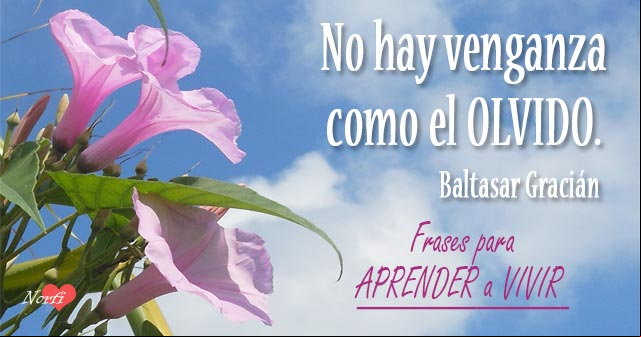 Frases para aprender y comprender como funciona la vida