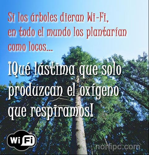Frases de crítica e ironía a la sociedad donde vivimos
