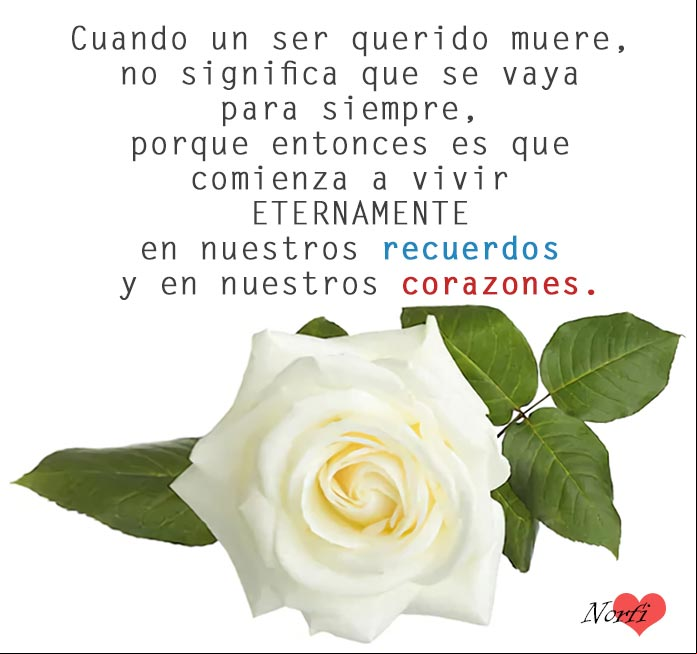 Cuando un ser querido muere