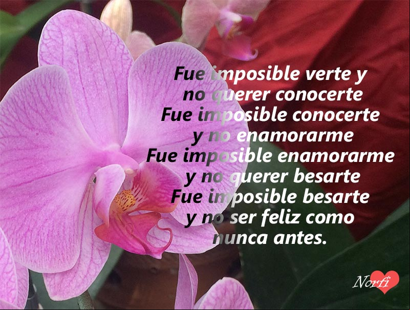 Fue inevitable no enamorarme de ti y no amarte