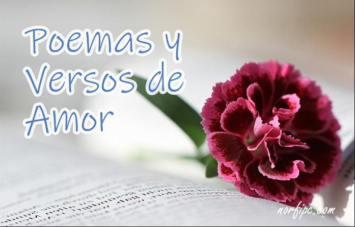 Imágenes con poemas y versos de amor Imágenes con poemas y versos de amor