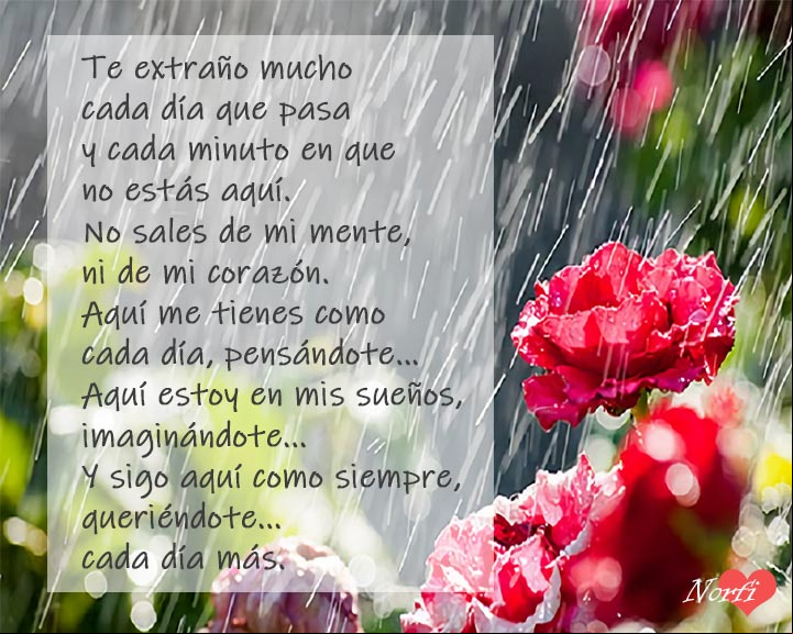 Te extraño y te echo de menos. Poema de amor