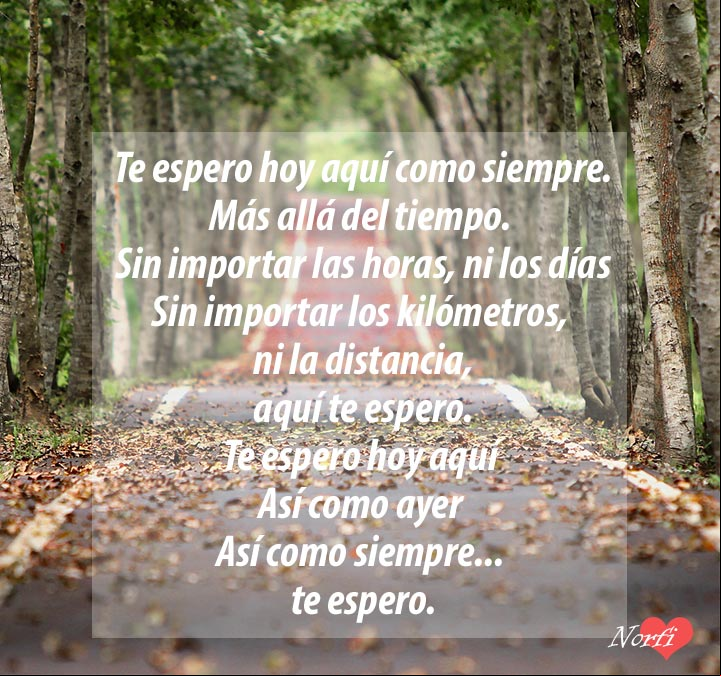 Te espero hoy aquí, como siempre. Poema de amor