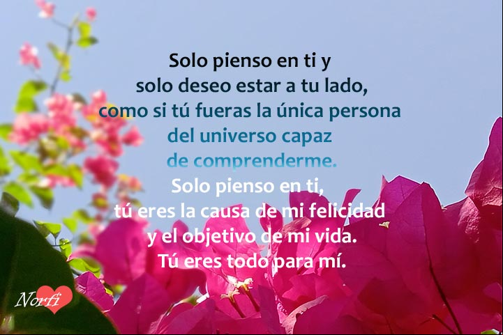 Poema de amor: Solo pienso en ti, tú eres la causa de mi felicidad y el objetivo de mi vida. Tú eres todo para mí