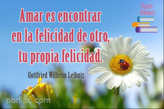 Foto con frase sobre el amor y la felicidad