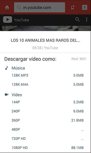 Escoger el formato del video a descargar desde YouTube
