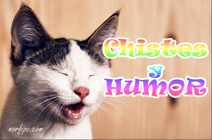 Chistes y humor para Twitter Chistes y humor para Twitter