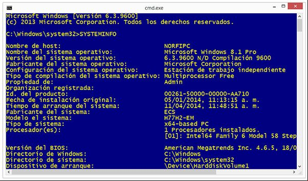 Pantalla parcial de la información que devuelve el comando SYSTEMINFO
